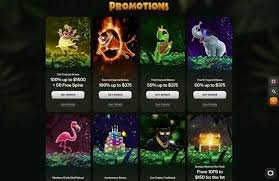 Todo lo que necesitas saber sobre Cashwin Casino España